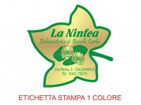 Etichette adesive per erboristerie, cosmetica, cosmesi (mm 41X40)  (cod.30M )